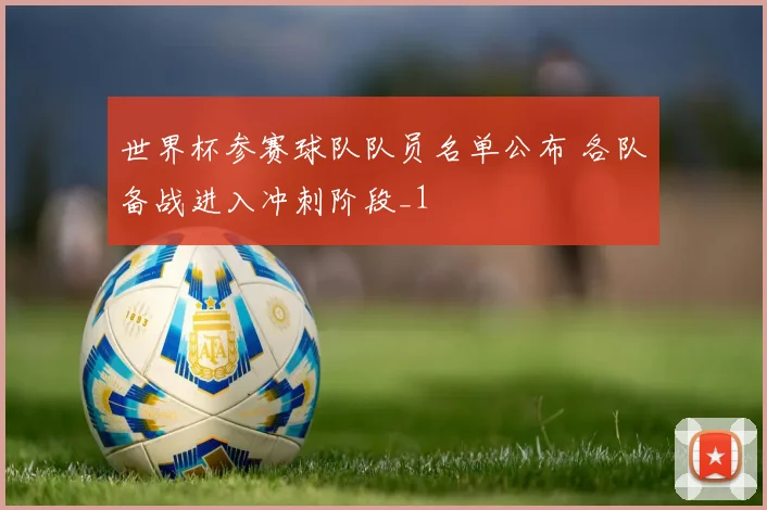 世界杯参赛球队队员名单公布 各队备战进入冲刺阶段_1