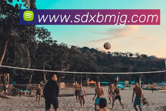 世界杯平台官网登录APP 高清赛事图